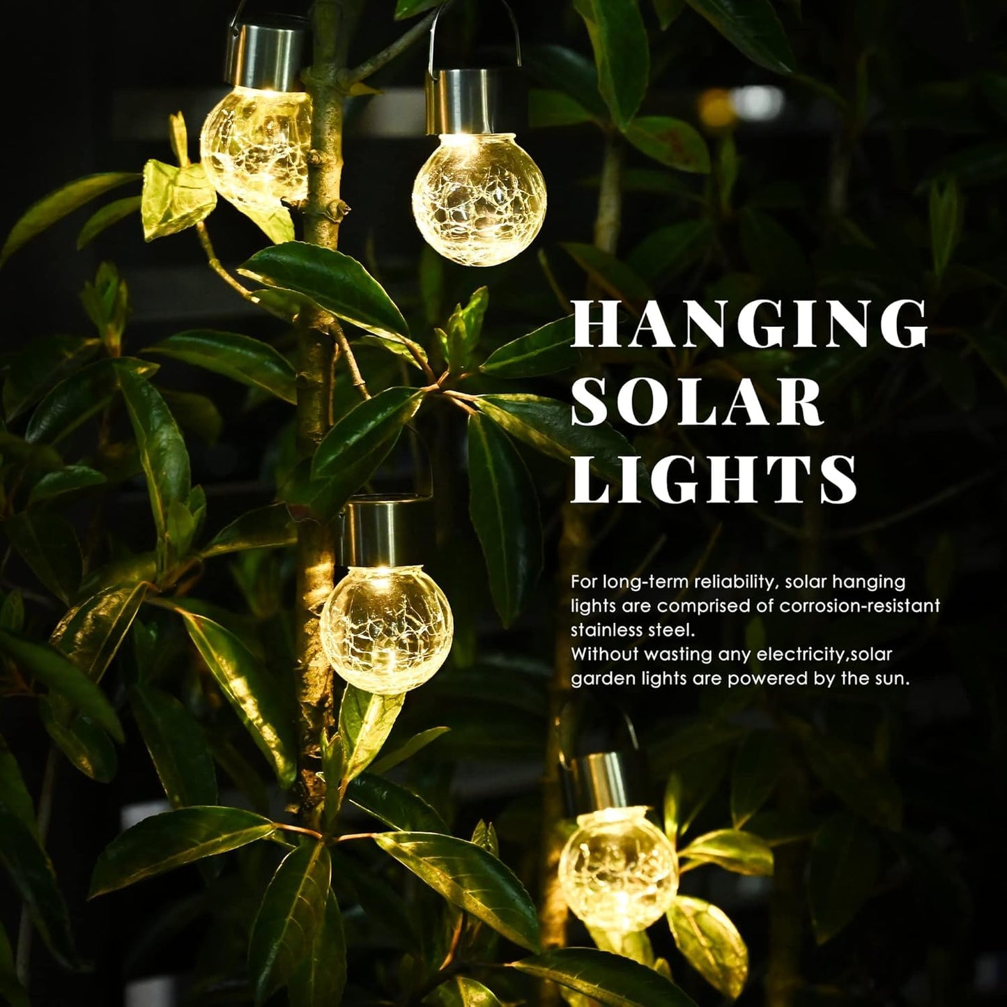 Solpex Hanging Solar Globe Lights, 8 Pack, Warm White ed Glass, Waterproof Outdoor Lighting For Garden, Patio, Lawn, Model 8C-Xin-N