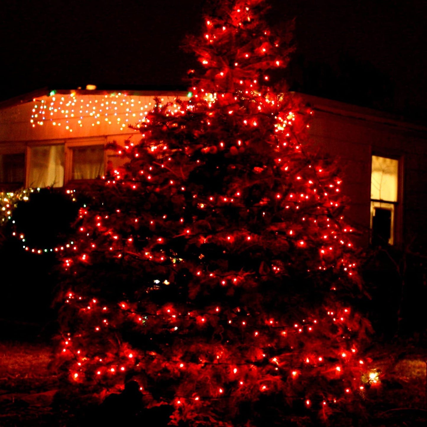 TW SHINE Christmas Mini String Lights, 20FT, 100 Count, Red, Waterproof, Model ZF-100-2/SB