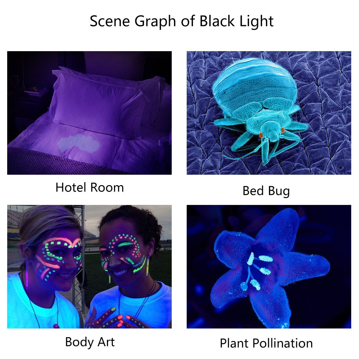Tattu U3 Uv Flashlight Rechargeable 395Nm Black Light Torch Blacklight 10W Ultraviolet Led Lamp With Micro Usb Charging Cable