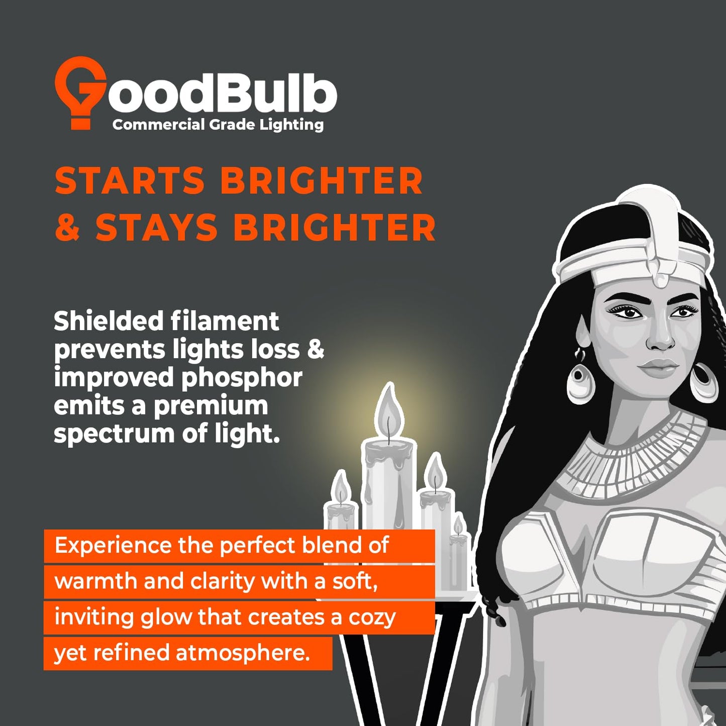 Goodbulb T5 Fluorescent Light Bulb, 21W, 3000K Warm White, 2100 Lumens, 40 Count Pack