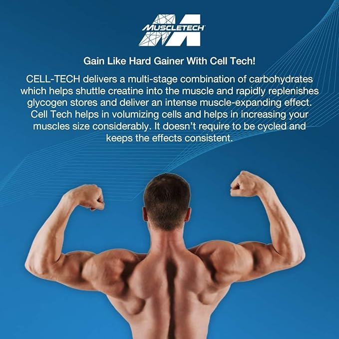 MuscleTech Cell-Tech Creactor - Creatine HCl Formula - Muscle Builder for Men & Women - Creatine HCl + Free-Acid Creatine Supplements - Fruit Punch Extreme, 120 Servings