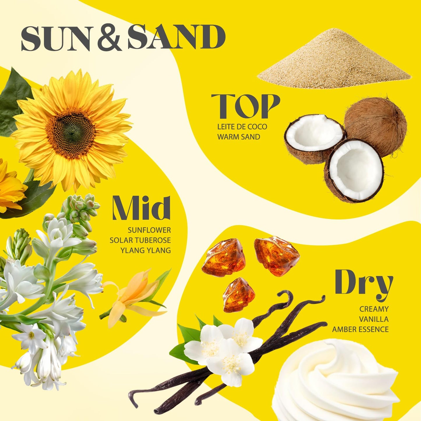 Sttes Perfume 807# (SUN AND SAND) β Eau De Parfum 100ml (3.4 fl oz) β Coconut Milk, Warm Sand, Vanilla