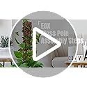 EOX 8 Pcs 24 Inch Plastic Moss Pole for Monstera, Large D Shaped Poles for Climbing Plants Work with Sphagnum Moss, Garden...