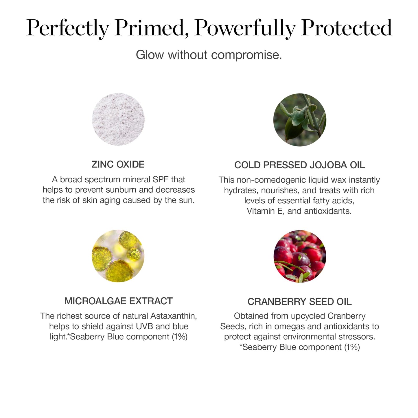 PROTECT Skin Enhancing Primer - Broad Spectrum Mineral Sunscreen SPF 40