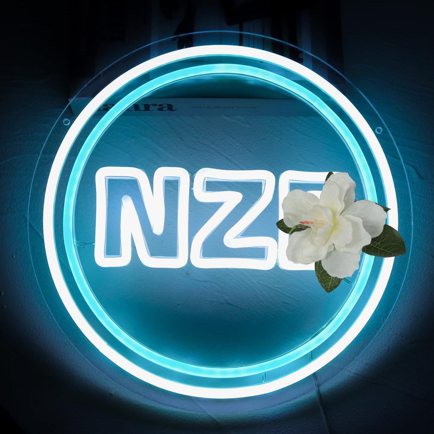 Pugna N.Z.E Neon Signs for Wall Decor NZe Neon Lights for Bedroom Led Signs Suitable for Dormitory Man Cave Christmas Gift