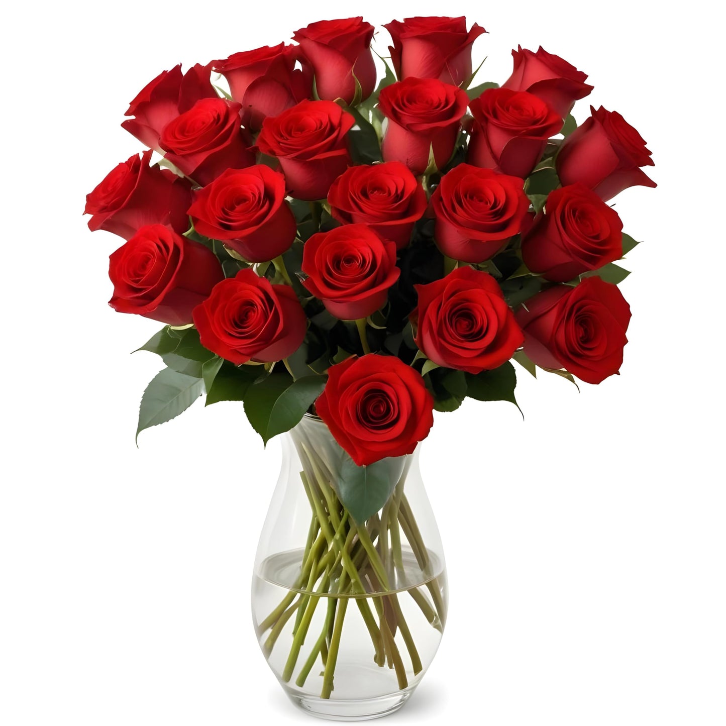 18 Red Roses with Vase | Arabella Bouquets | Real Fresh Flowers for Delivery Gift for Birthday Women Congratulations Anniversary Thank You Mothers Day