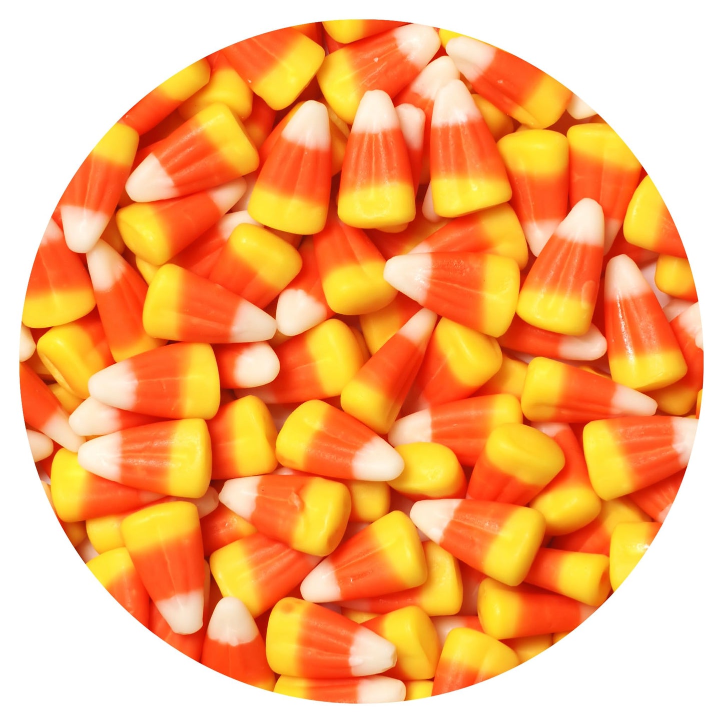 Candy Corn White Orange & Yellow 1 Pound Bulk Bag Halloween Candy Autumn Candy The Hampton Popcorn & Candy Company