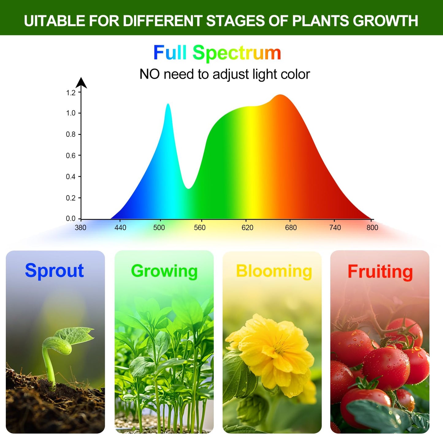 4-Head Strong Clip Grow Lights For Indoor Plants Seed Starting Bonsai Succulent Cactus With Timer 36 Watt Power Home Plug Enough High-Intensity Like Sun Best Gift For Plants Lover