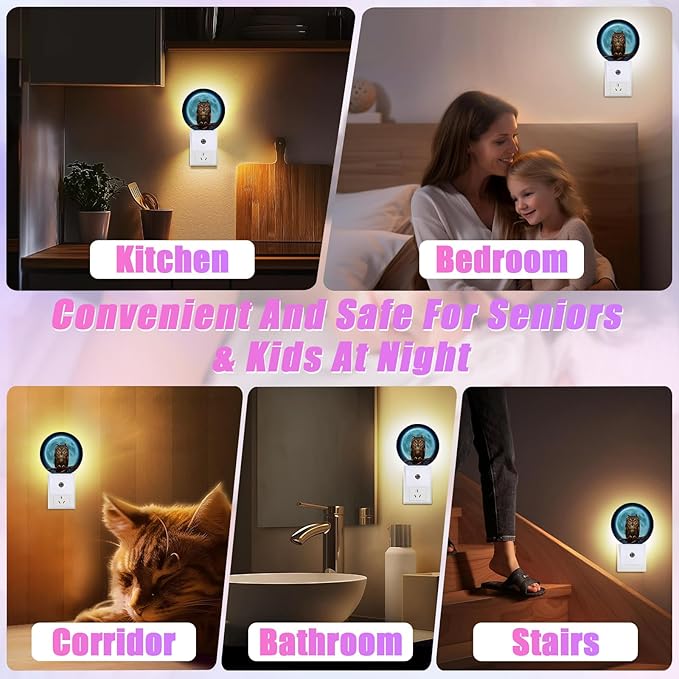 Owl Moon Night Light LED Lamp Round Plug into Wall Nightlight with Dusk to Dawn Sensor Home Hallway Stairway Kitchen Decor