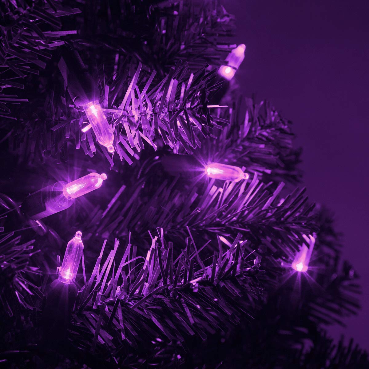 Wintergreen Lighting LED Mini String Lights, 50 Purple Lights, 25.5 ft Green Wire, Indoor/Outdoor, Model IOS-2-25-2