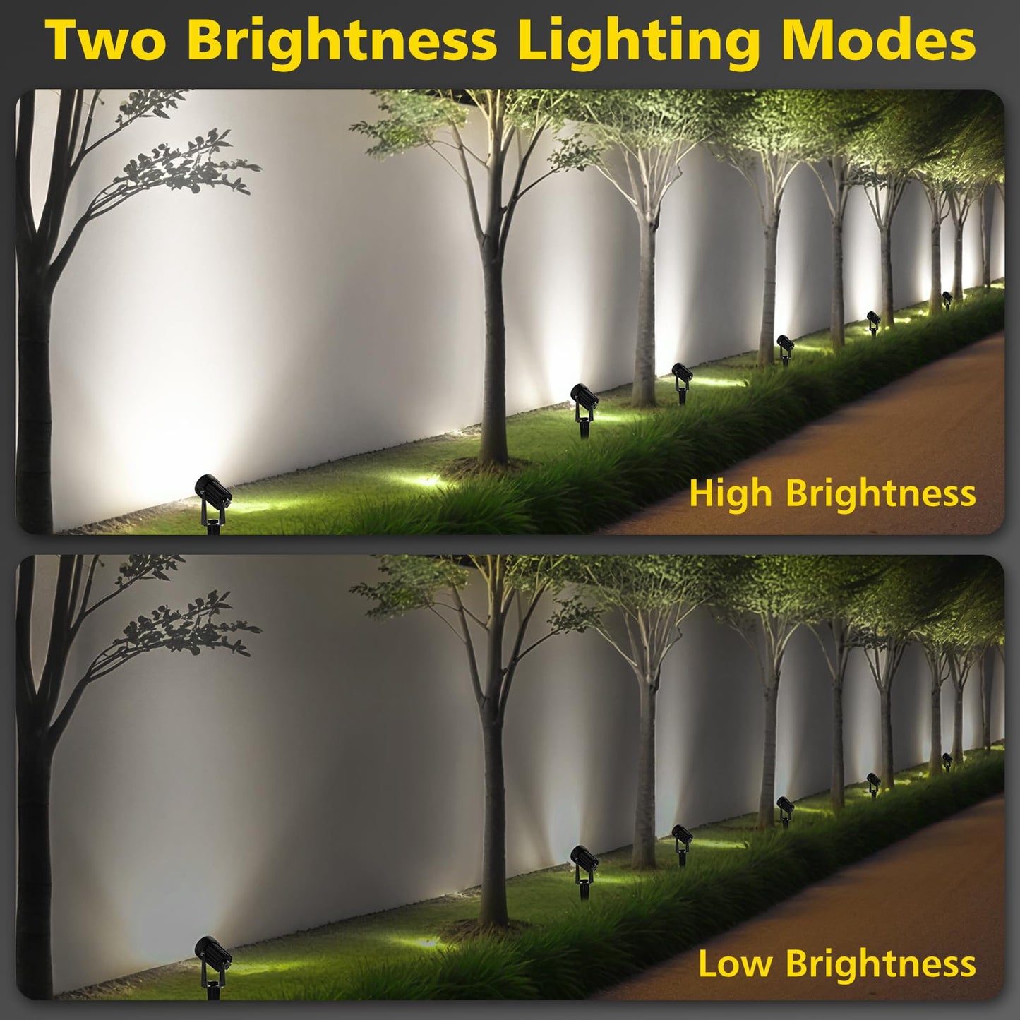T-SUN 2W Solar Spotlights, LED Outdoor Landscape Lights, Waterproof, Dual Head, 2-IN-1, Cold White