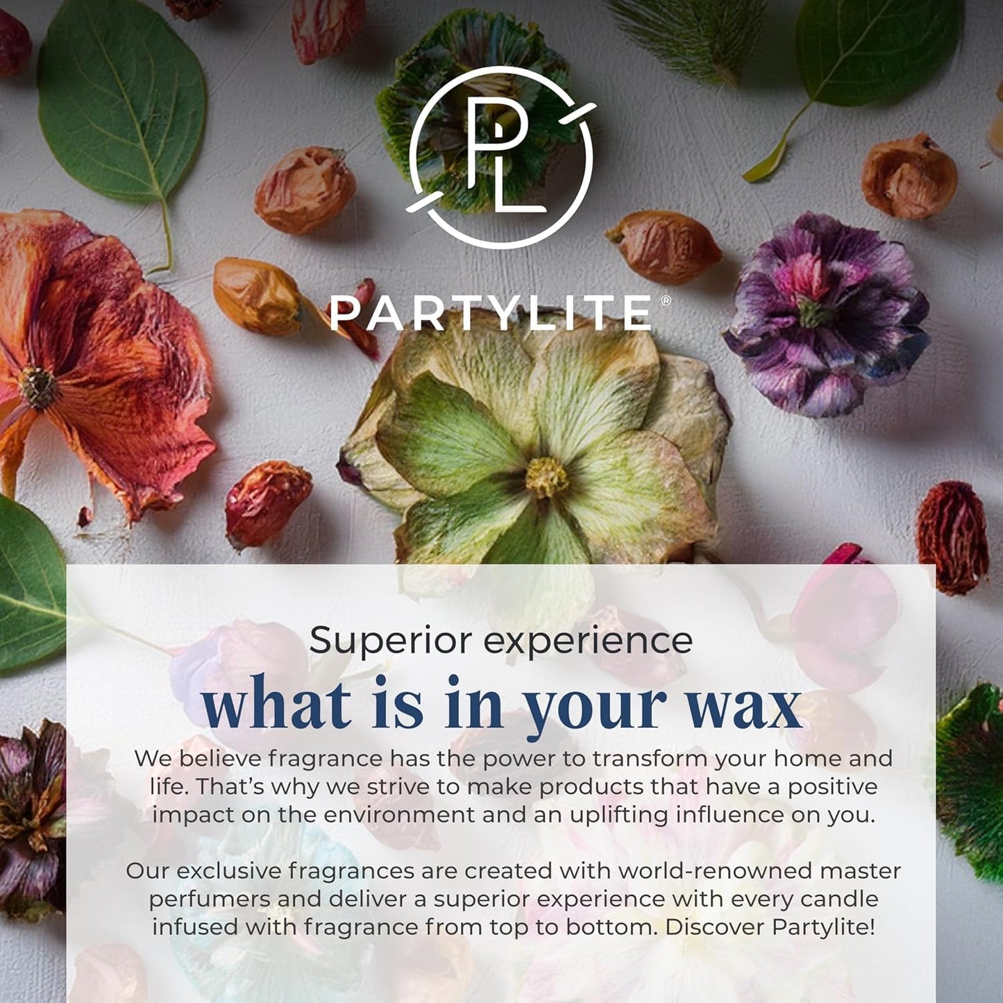 Partylite Gift Set Of 12 Universal Tea Lights Fig Fatale Scented Notes Of Apricot Green Fig Peach Mango Strawberry And Vanilla 4-6 Hour Burn Time stylish & Rich Perfect For Gifting