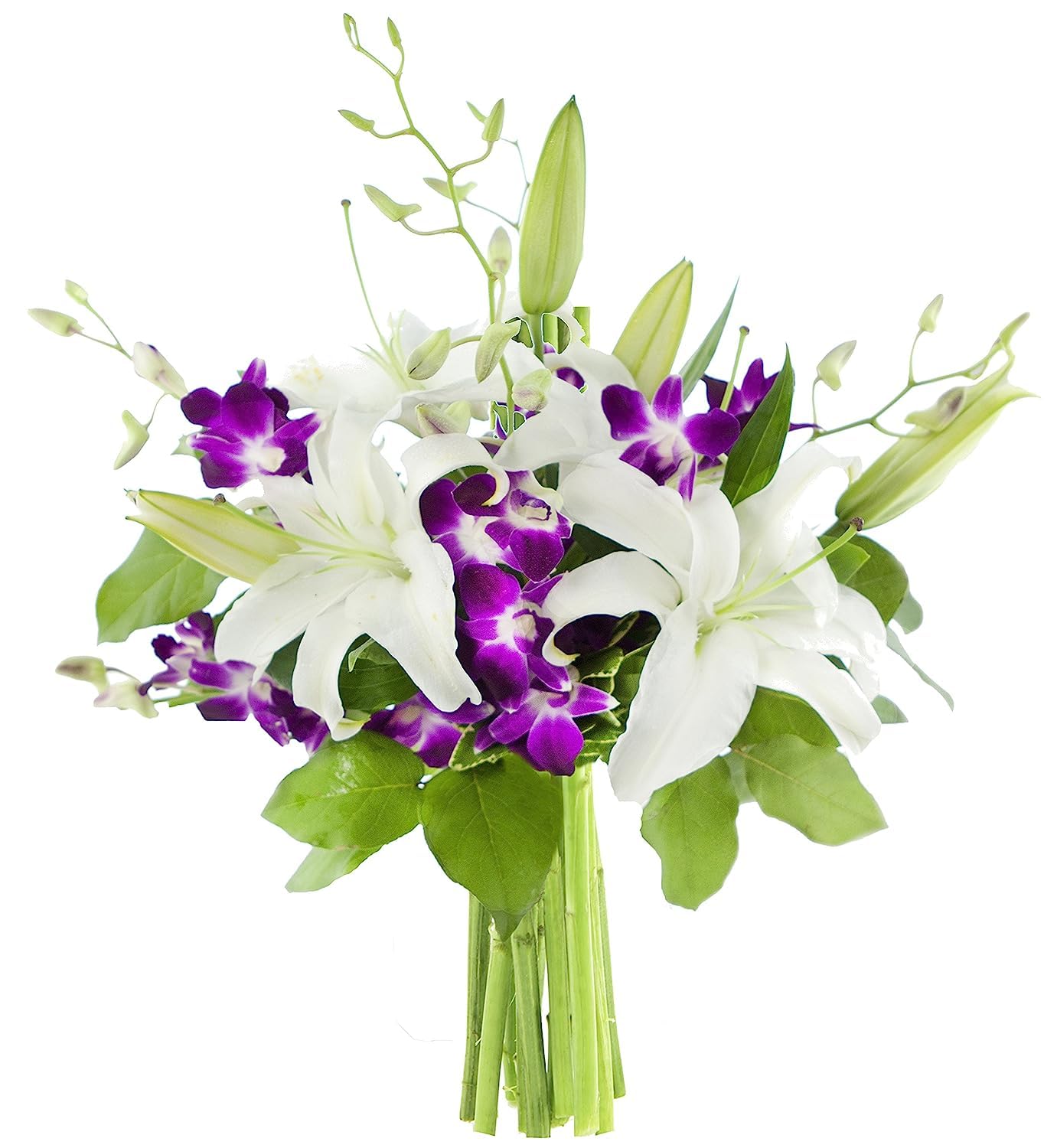 KaBloom PRIME NEXT DAY DELIVERY - Fall Collection - Bouquet of 3 Oriental White Lily 5 Purple Orchid With Lush Greens.Gift for Birthday Sympathy Anniversary Mothers Day Fresh Flowers