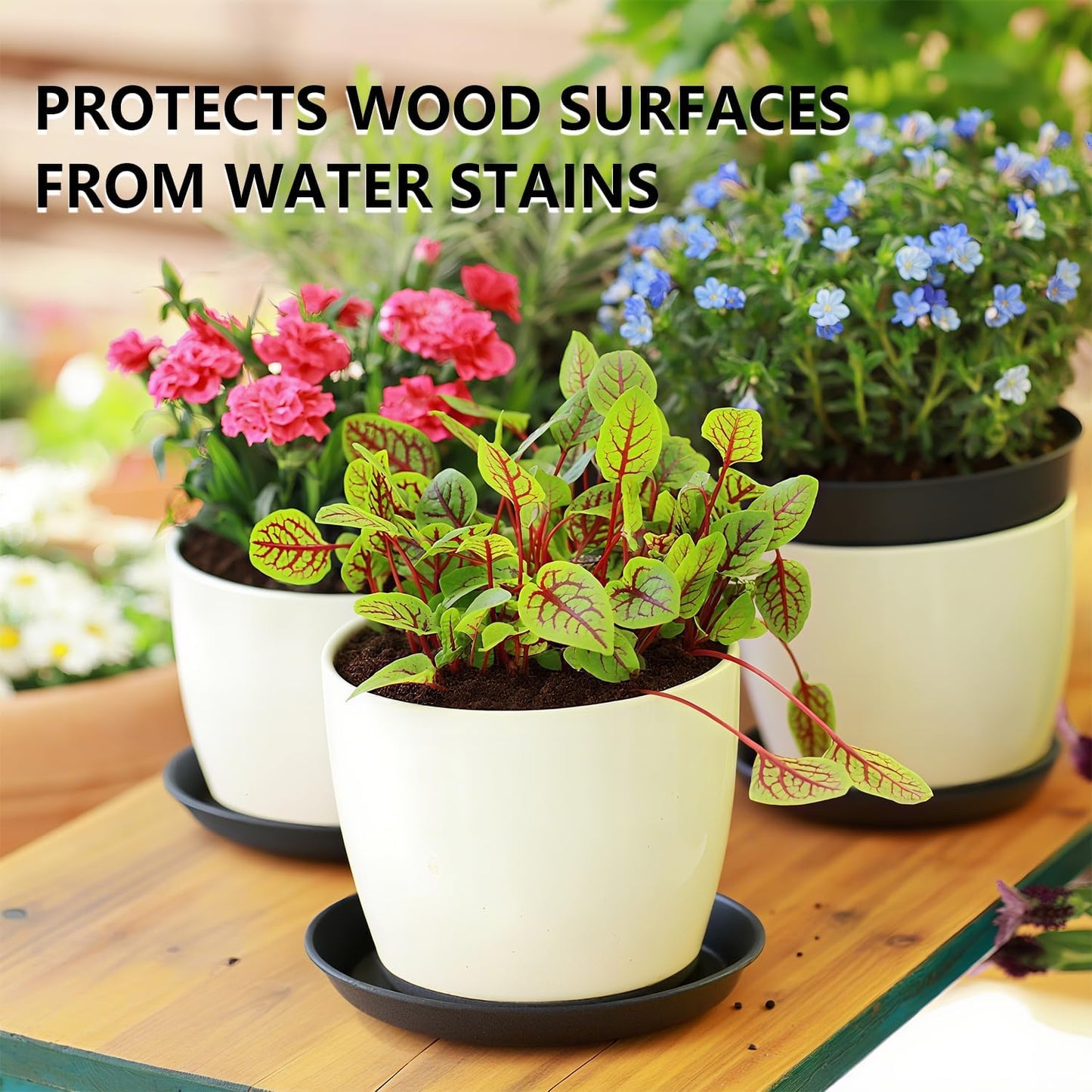 6 Pack 10 Inch Black Round Plant Saucers, Thick PP Plastic Pot Trays for Large Planters, Durable Flower Pot Water Catcher Plates & Drip Trays for Indoor Outdoor Gardening