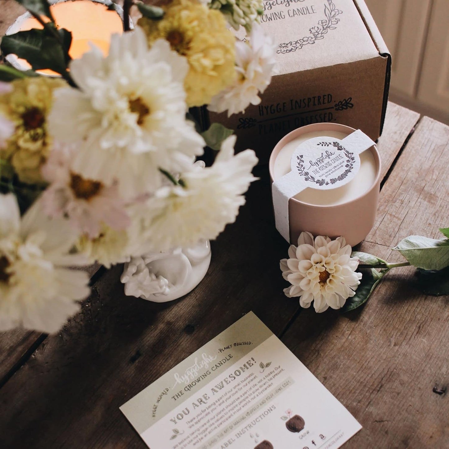 The Growing Candle, Sandalwood & Vanilla Scented, 8oz Ceramic Pot, Aromatherapy Candles for Home, 100% Soy, Adelyn