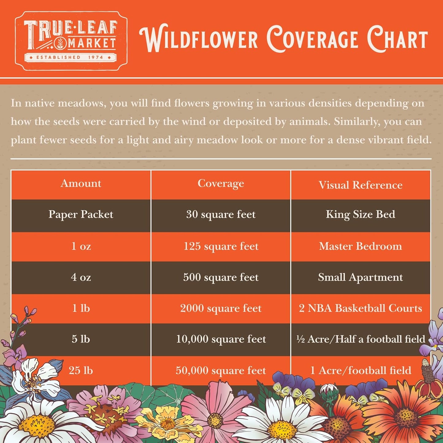 Rocky Mountain Wildflower Seeds Mix - 4 oz Seed Pouch - 22 Wild Flower Seed Varieties - Annuals, Perennials and Bi-Annuals - Flower Garden