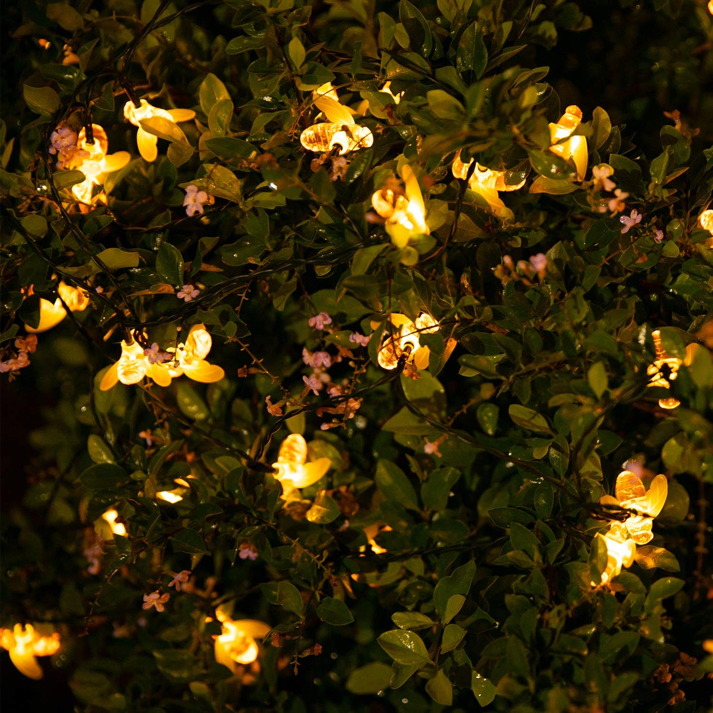 Brightown Solar Bee String Lights, 31 Ft, 50 LED, 8 Lighting Modes, Warm White, Waterproof, Model BT-animal-lights