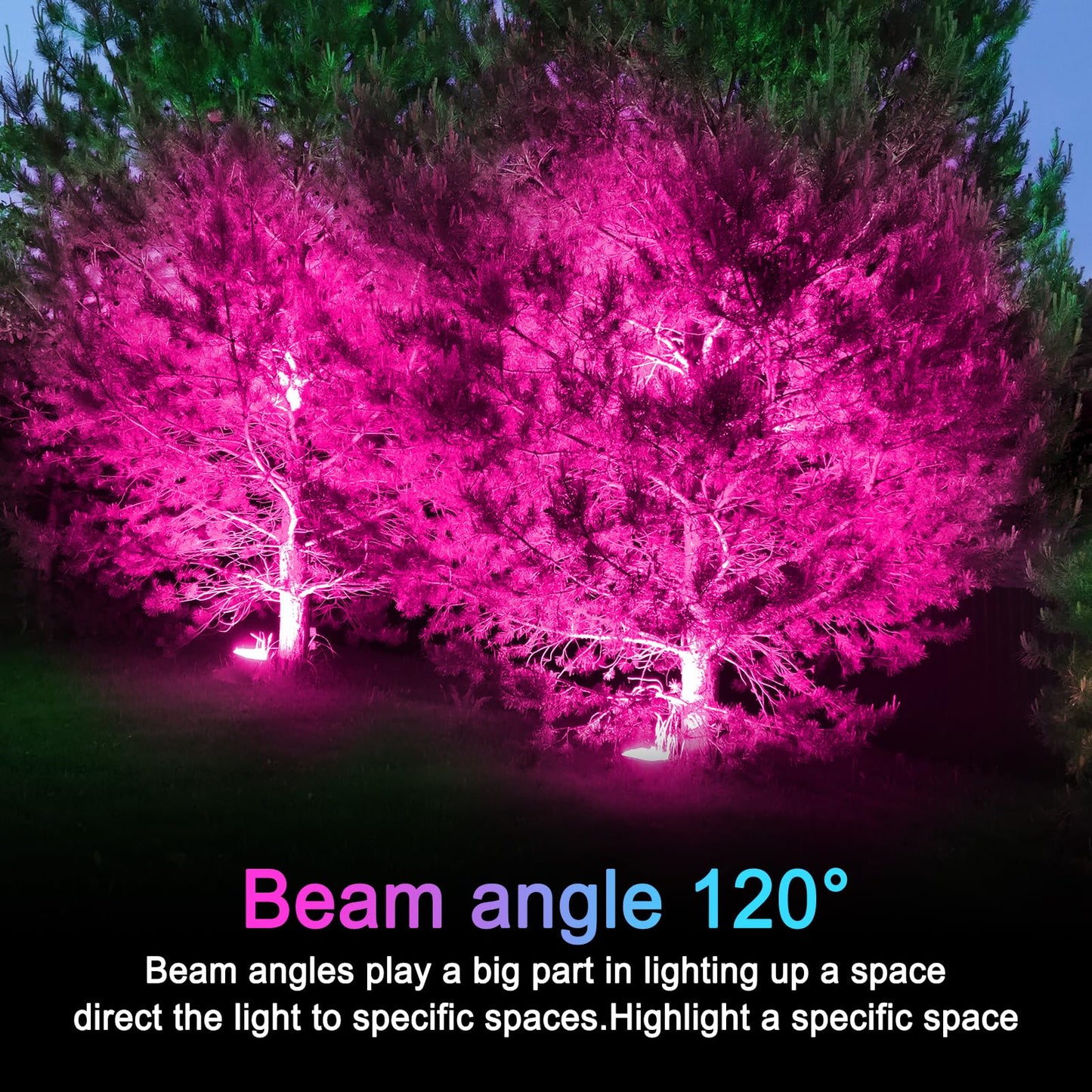 LOXYEE PAR38 Flood Light Bulb, Dimmable, E26 Base, 20W Equivalent, 4 Pack, Pink