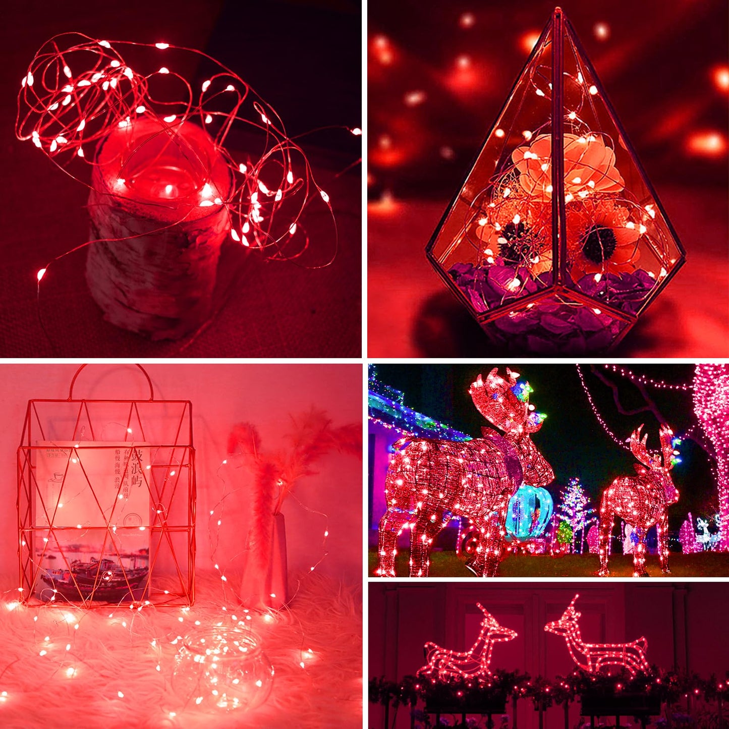Zgwj 100 Pack Fairy Lights Battery Operated 7Ft 20 Mini Led Fairy String Lights Silver Wire 3 Modes For Diy Parties Wedding Bedroom Halloween Christmas Decoration Red