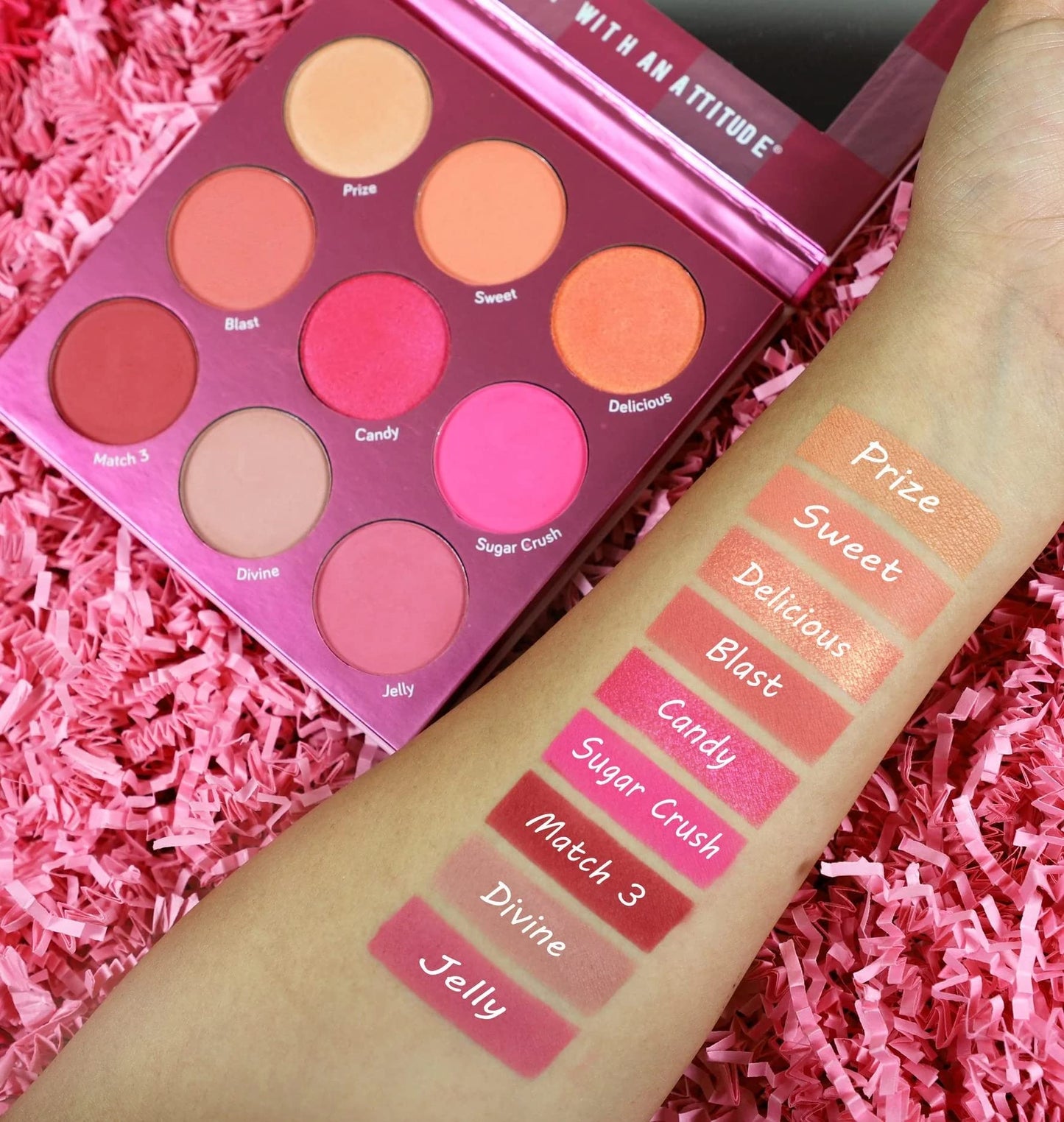 Blush Crush 9 Color Blush Palette - Match Three by Rude Cosmetics for Women - 0.67 oz Blush