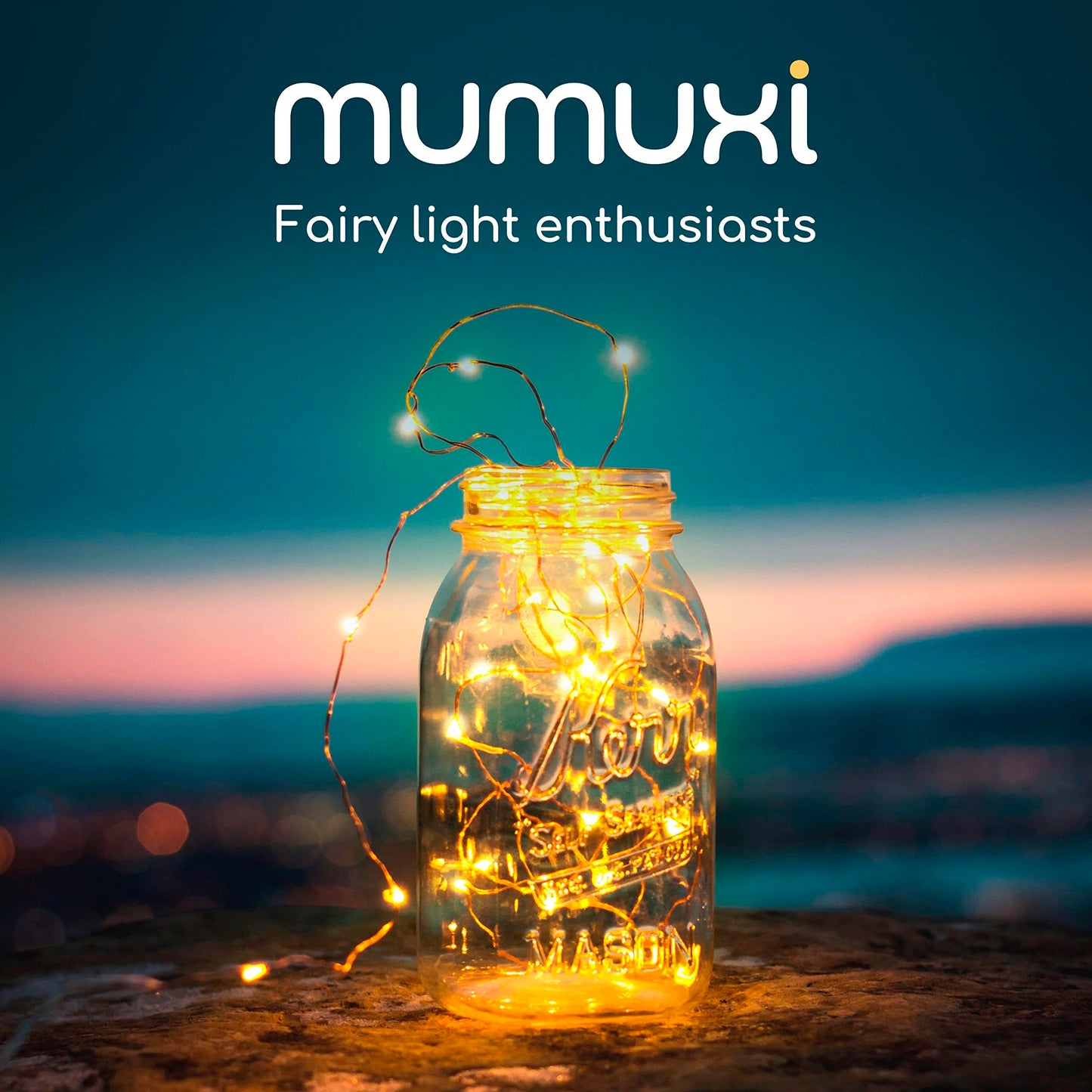 Mumuxi 20 Pack 3.3Ft Copper Fairy String Lights, Battery Operated Mini Leds For Party And Wedding Decorations, Warm White
