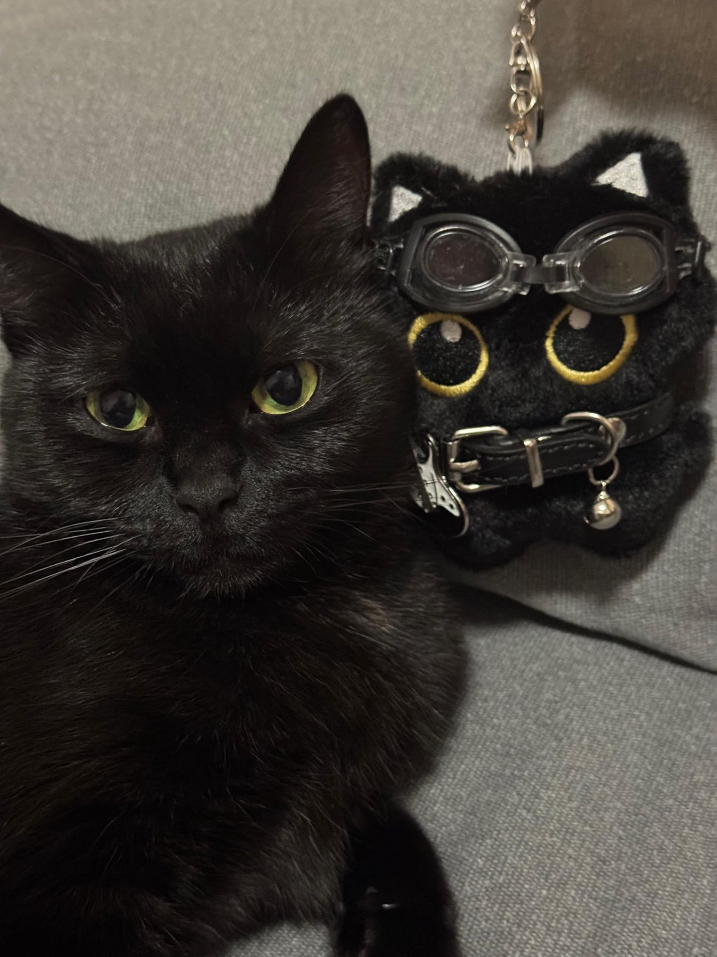 Tileafry Black Cat Keychain with 3 Accessories – Soft Plush, Backpacks Keychain,Pet Lovers (Glasses, Scarf, Guitar) (3