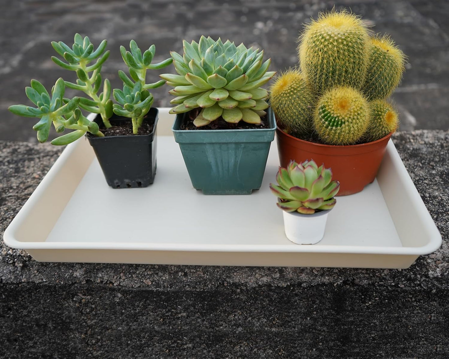 2 Pack Plant Saucer Tray Rectangular, Plant Growing Nursery Trays, Heavy Sturdy Seed Starting Trays, Plant Starter Trays for Indoors No Holes, Seed Starter Growing Tray (17.5"x10.6", Beige)