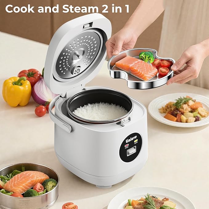Rice Cooker Small 4 cup Uncooked,2 Quart Non-stick Mini Rice Cooker,With Stainless Steel Steamer Tray,One-Switch to Cook and Auto Keep Warm,Recipe Guide,Small space saving for 1-4 people,White