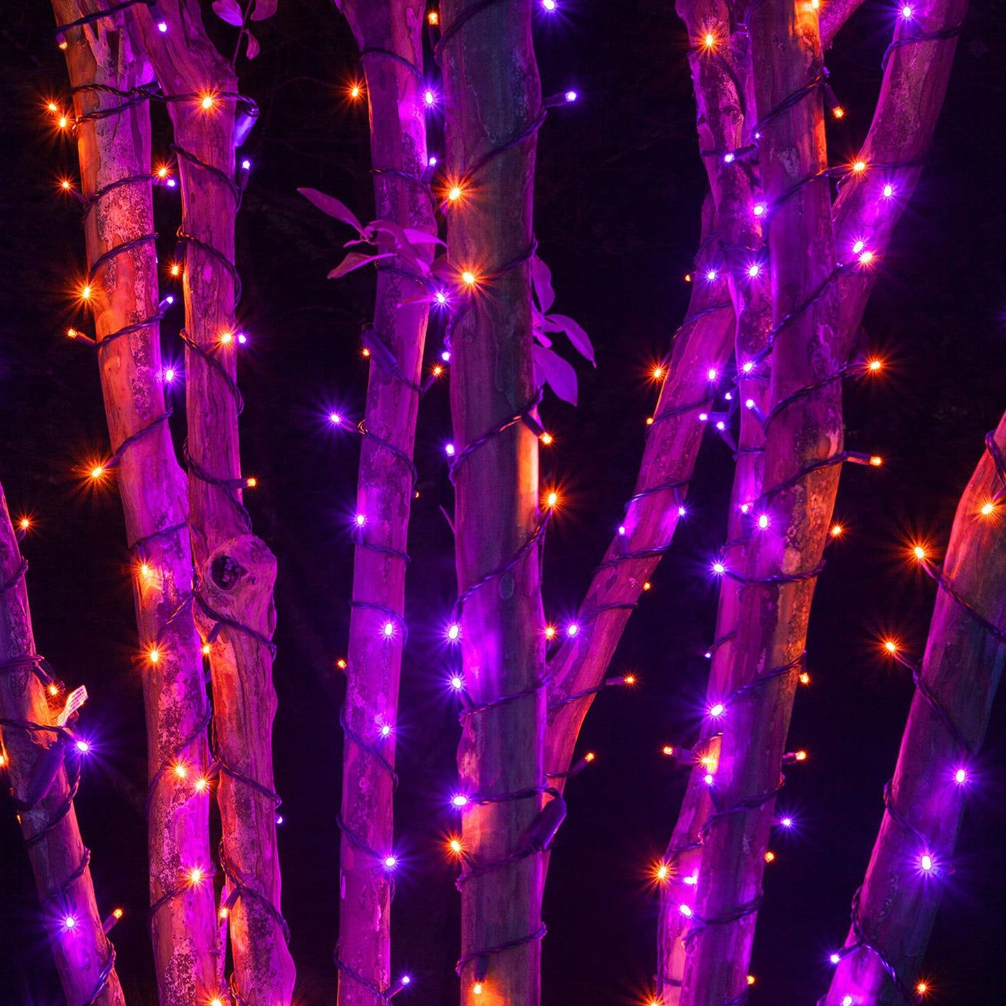 Dazzle Bright 300 LED String Lights, 100FT, Purple & Orange, 8 Lighting Modes, Halloween Decorations, Model HB-300COI