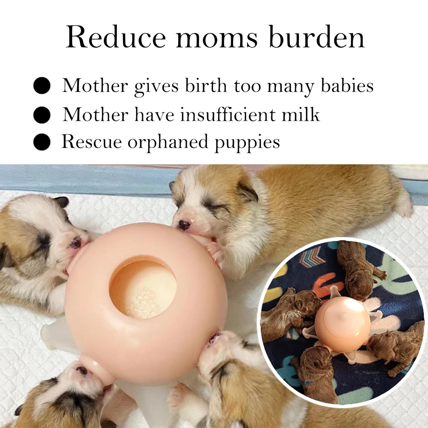 Doggiema Puppy Milk Feeder Nursing Station feeders for Multiple Puppies Milk replacer Dongdong pet L Size(Medium Dog)