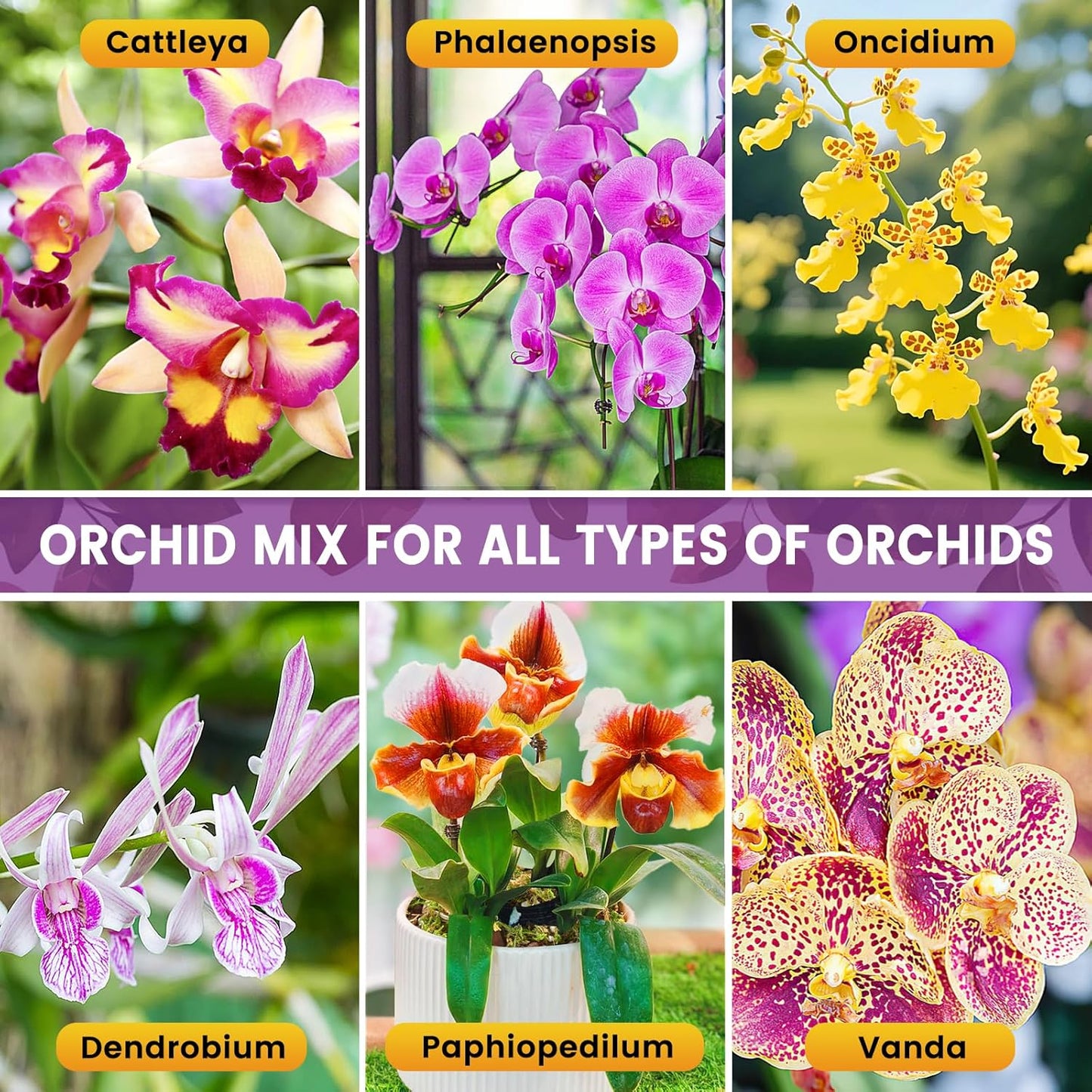 Legigo 6 QT Orchid Potting Mix- Natural Orchid Soil Mix for Repotting with Moss, Pine Bark, Coco Peat and Perlite, Enhanced Drainage Orchid Bark Potting Mix Repotting Kit for Indoor Plant Growth