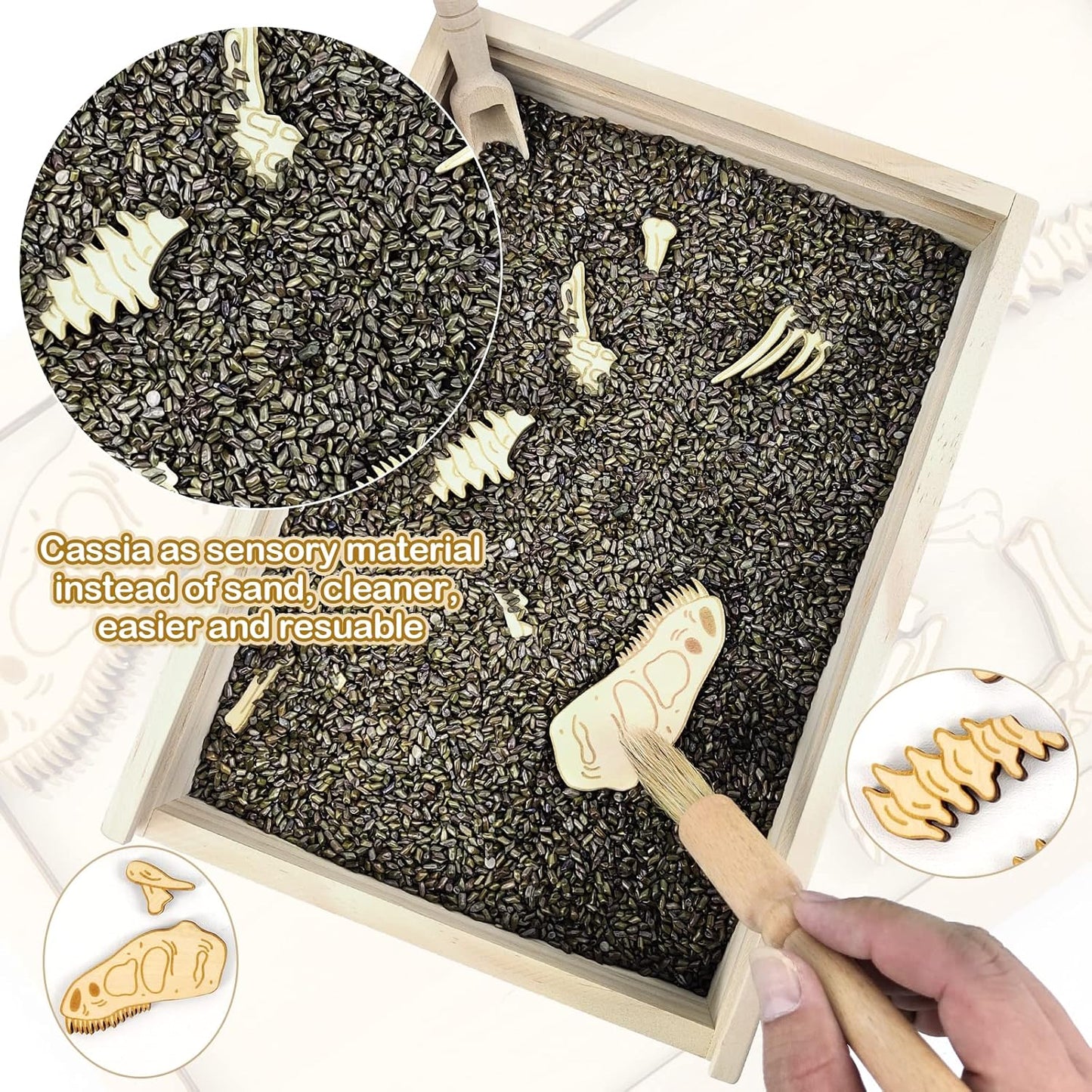 Xylolin Dinosaur Excavation Archaeology Dig Kit for Kids, Fossil Explore Sensory Bin Toys, Dino Skeletons Bones Puzzle Game, Archaeology Science STEM Toys for Boys and Girls (Tyrannosaurus)