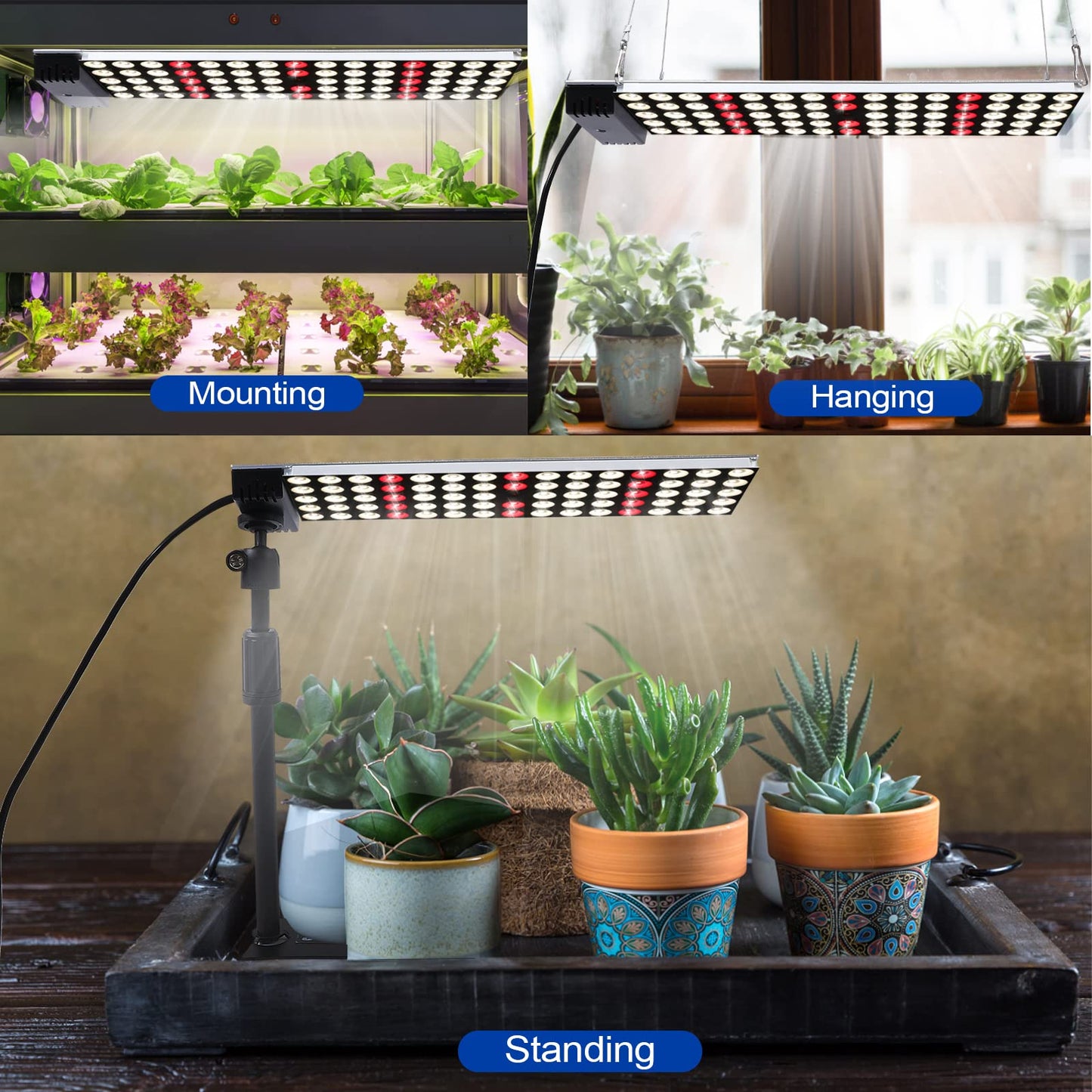 JCBritw LED Grow Light with Stand, 50W Full Spectrum, White, Model: Standing Panel Series, Ideal for Seed Starting and Flowering