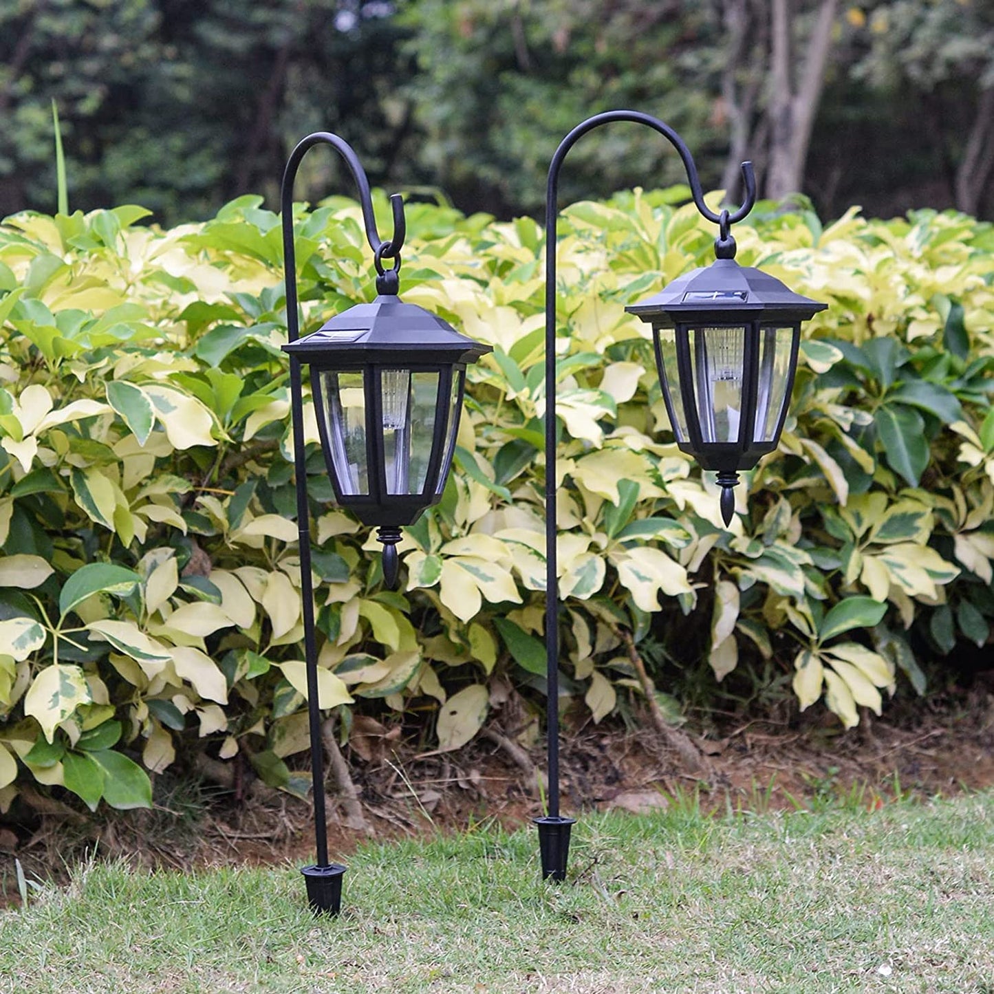 Viewsun Hanging Solar Lights - 34 Inch Shepherd Hook, Waterproof Outdoor Lanterns, 6 Pack, White, Model VS-LT0001-6