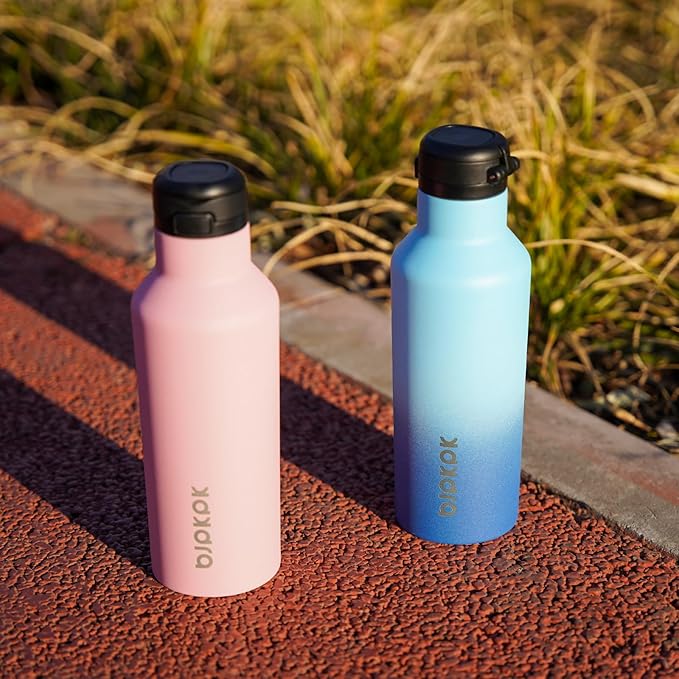 BJPKPK Insulated Water Bottle With Straw 25oz Stainless Steel Water Bottles With 2 Lids And Carry Handle Reusable Travel Metal Thermal Flask,Sky
