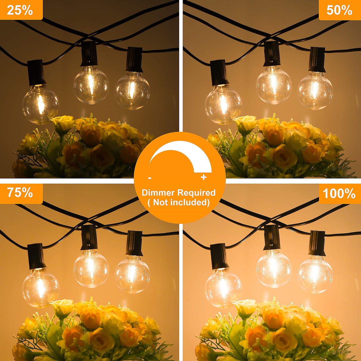 Bosceos 100FT Outdoor G40 LED Globe String Lights, Dimmable, Waterproof, Shatterproof, 104 Bulbs, Black, Model GYPC-O100LAU