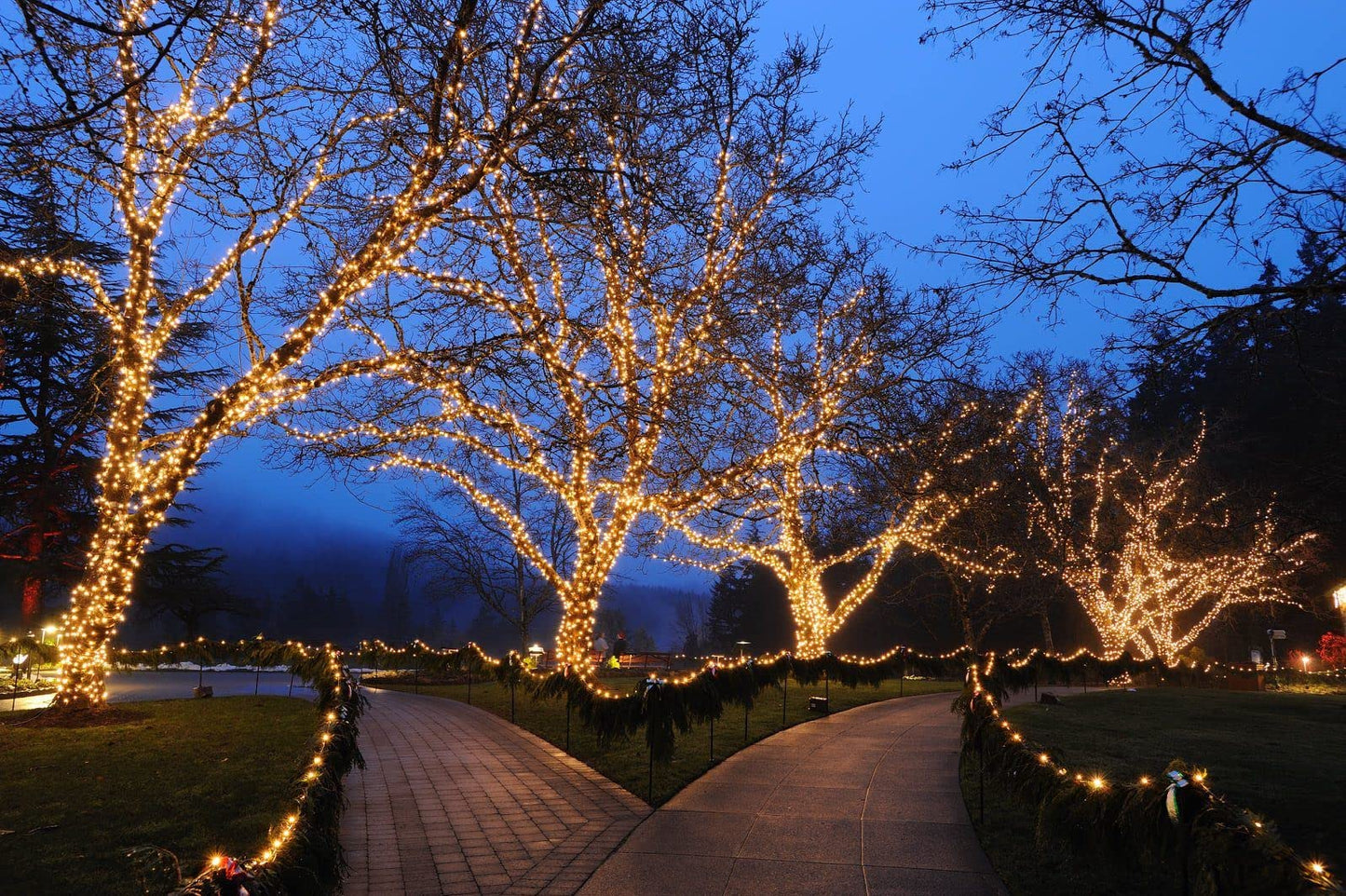 Novelty Lights 24Ft 70 Led C6 Christmas String Lights Outdoor Commercial Grade Tree Decorations Permanent Led Lights (Warm White)