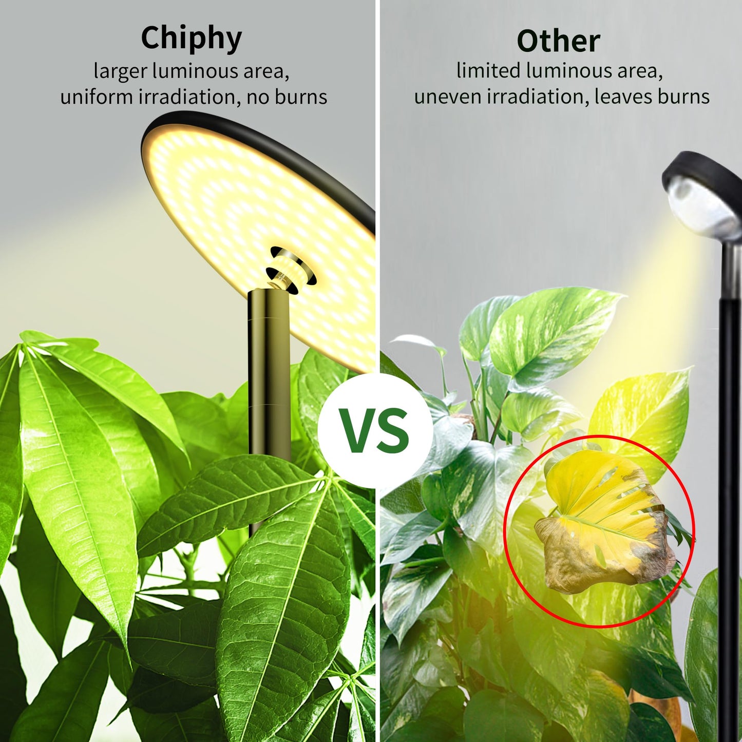 chiphy Grow Lights, Full Spectrum Plant Light, 40W, 69in Tall with Tray & Remote, 10 Dimmable Brightness, Black, Model RF04-002-BK(A