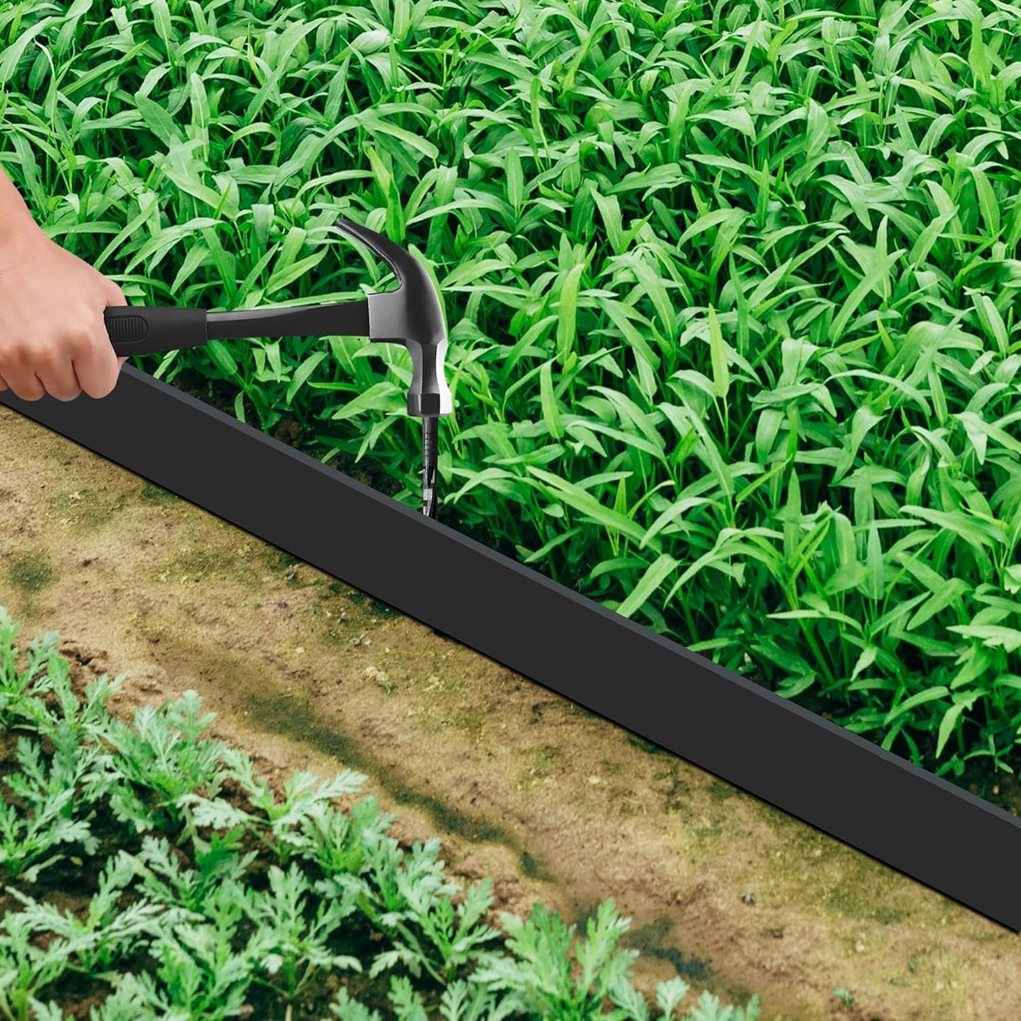 Landscape Edging Coil 66 FT, 2 Inch Tall Garden Edging Border Flexible Lawn Edging Kit with 60 Spikes, Plastic Edging for Landscaping Flower Beds Yard Pathway Paver Edging (2IN x 66FT, Black)