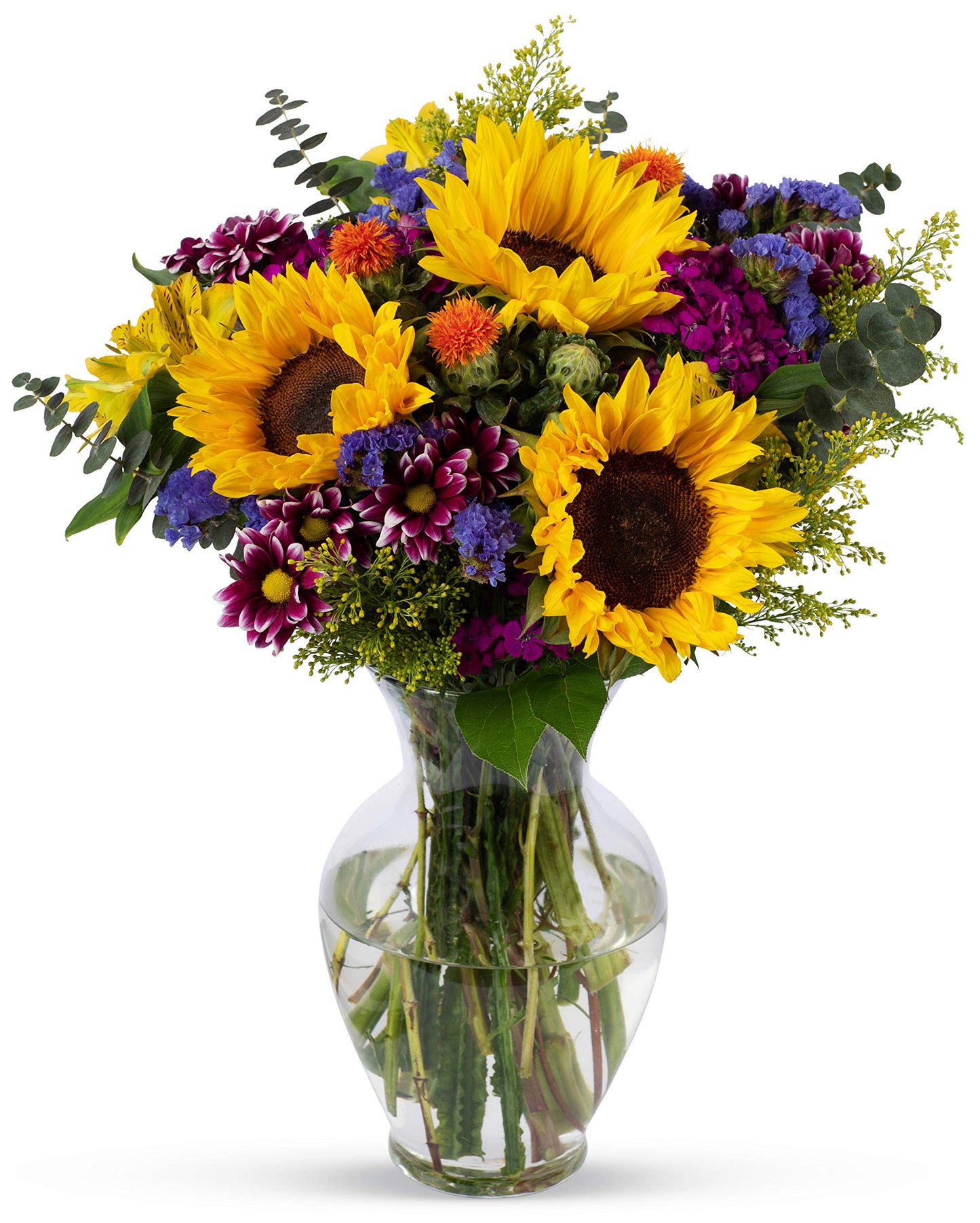 Benchmark Bouquets, Flowering Fields, Glass Vase Included, Gift Fresh Flowers for Birthday, Anniversary, Get Well, Sympathy, Con