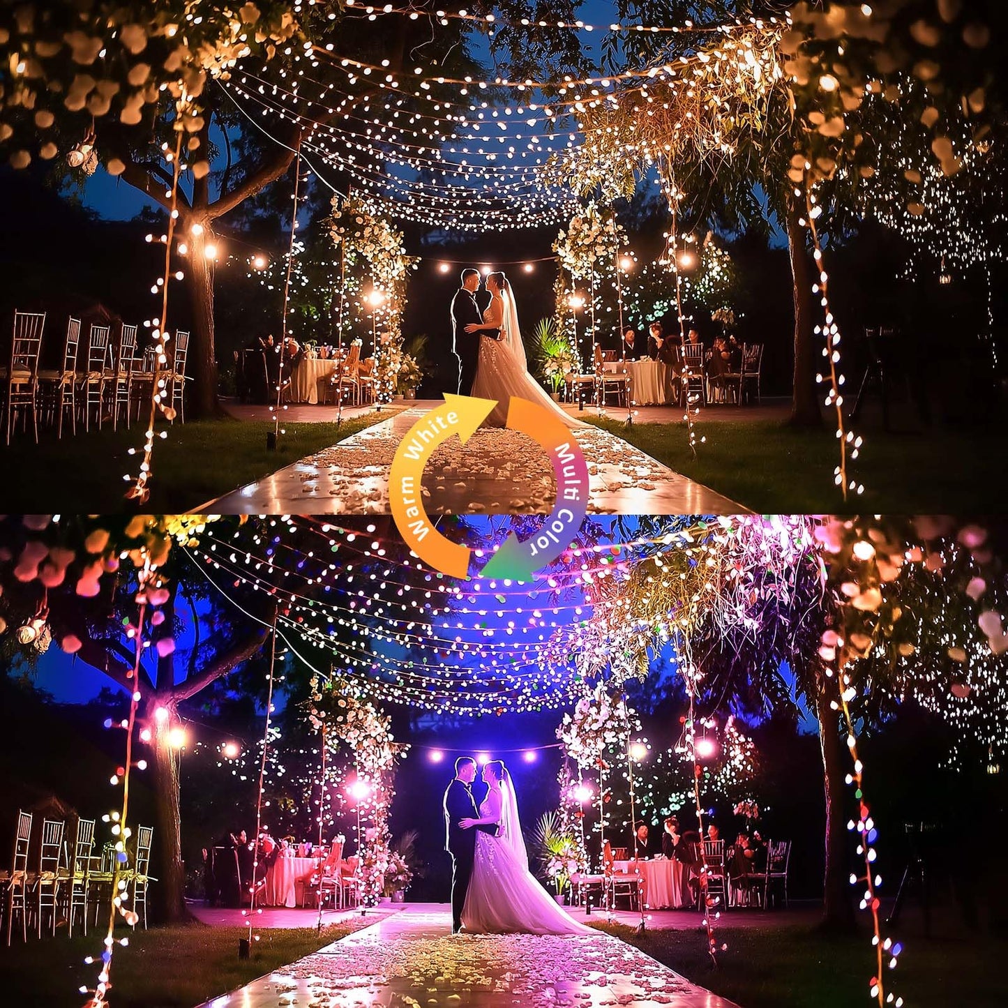 Ariceleo 50 Led Battery Operated String Lights, 5M Warm White & Multi-Color, Remote Control, Waterproof Silver Wire Fairy Lights