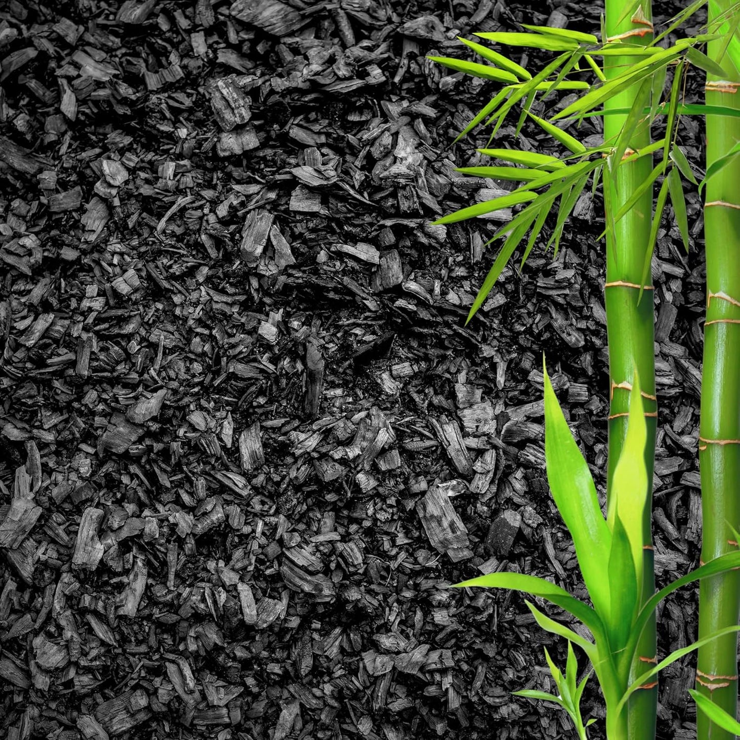 Horticultural Charcoal for Plants ā Organic Bio Char Soil Amendment for Terrariums, Indoor Plants & Gardening, Made in USA (20 quarts)