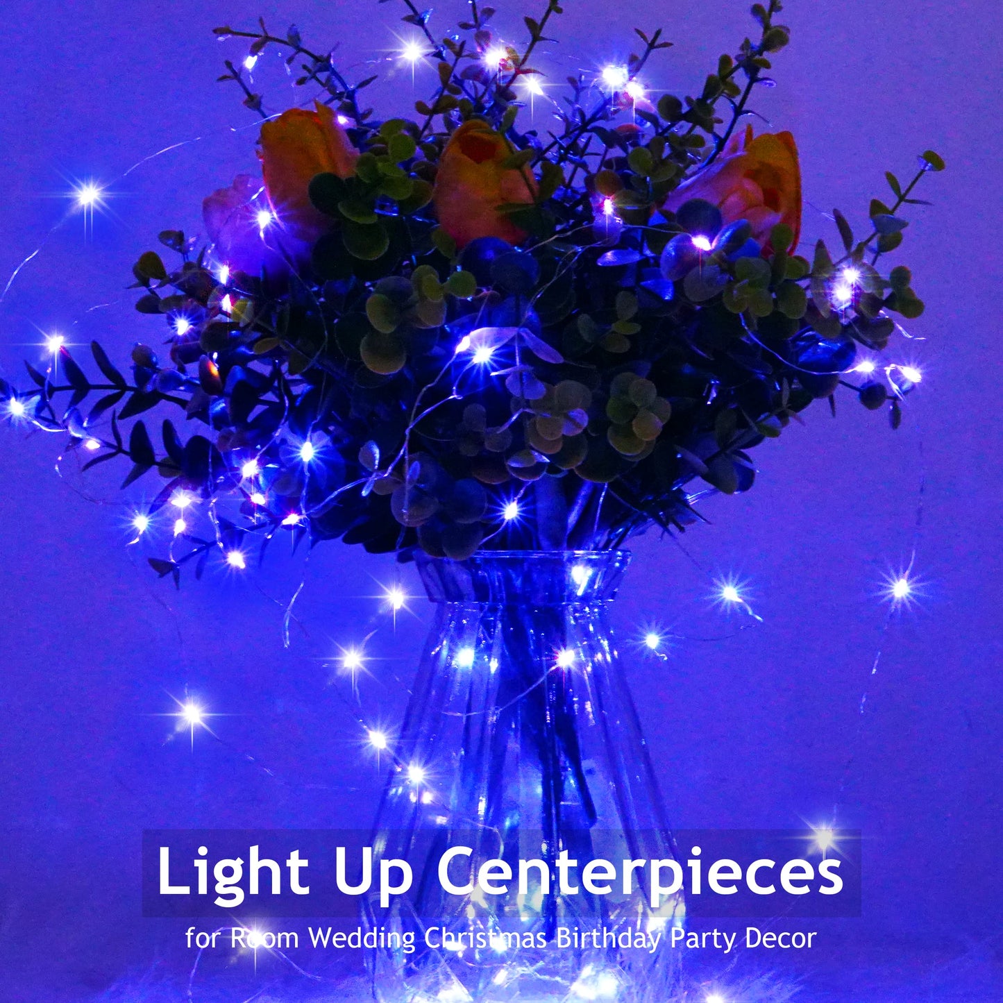 SmilingTown Fairy String Lights, 20 LED, 6.6FT, Battery Operated, Silver Copper Wire, Blue for DIY Party Decorations