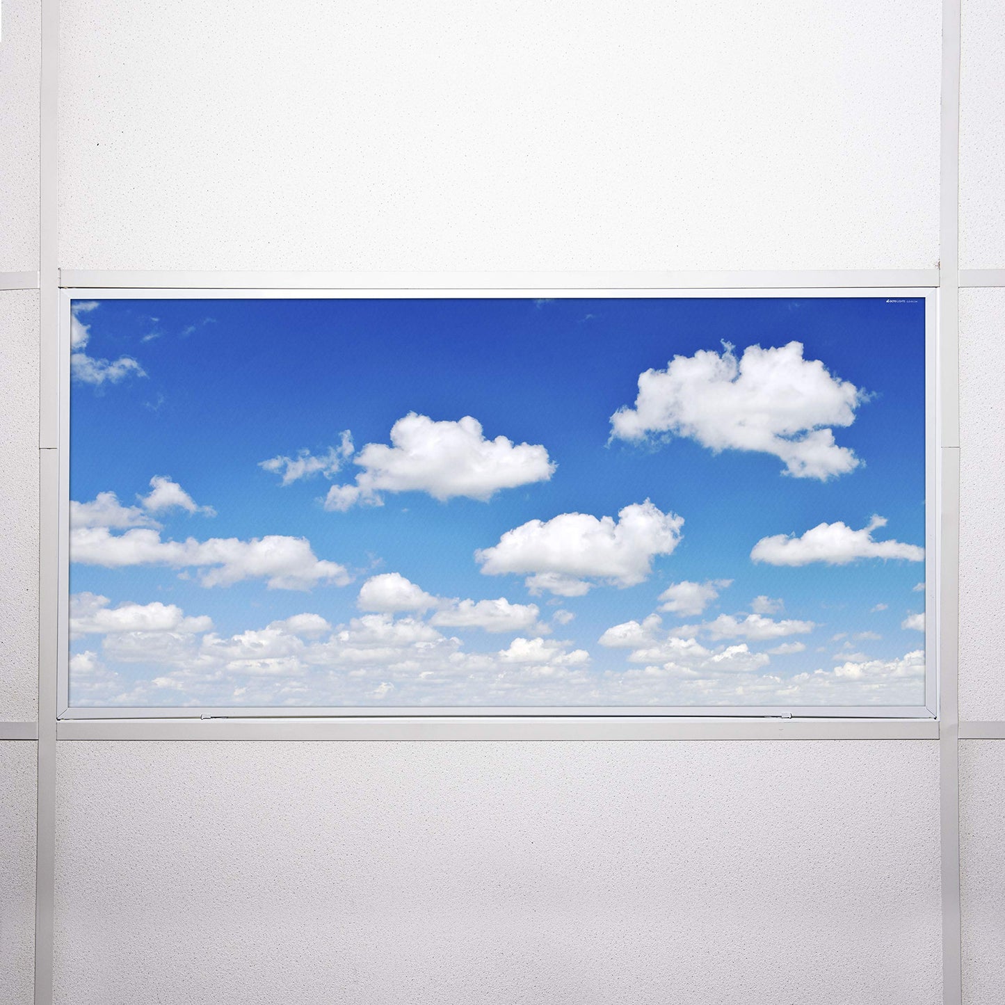 Octo Lights Fluorescent Light Covers, Acrylic, 2X4 (22.38In X 46.5In), Model Cld-011, Improve Focus & Reduce Headaches