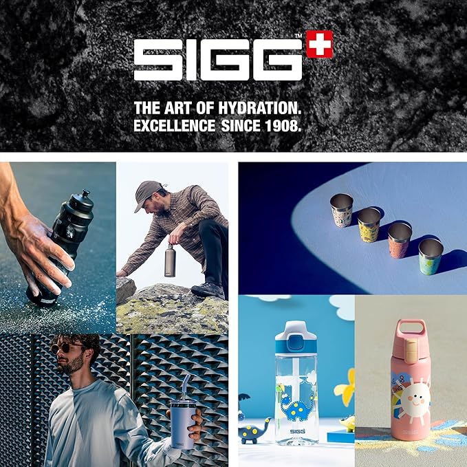 SIGG - Stainless Steel Kids Bottle - Shield One - Suitable For Carbonated Beverages - 17 Oz