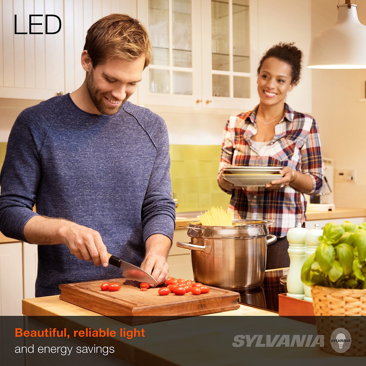 LEDVANCE Sylvania ECO LED Light Bulb, A19 60W Equivalent, Efficient 9W, 7 Year, 750 Lumens, 2700K, Non-Dimmable, Frosted, Soft White - 8 Pack (40821)