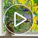 COCONUT 62" Heavy Duty Shepherds Hooks for Outdoor, Bird Feeder Pole with 5 Prong Base, Adjustable Height Shepherds Hook f...
