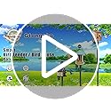 Gtongoko Smart Bird Feeder Pole 1-Inch Dia 79 Inch Bluebird House Pole for Outdoors Weather Station Heavy Duty Metal Mount...