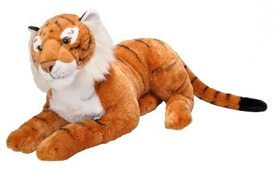 CK-JUMBO TIGER