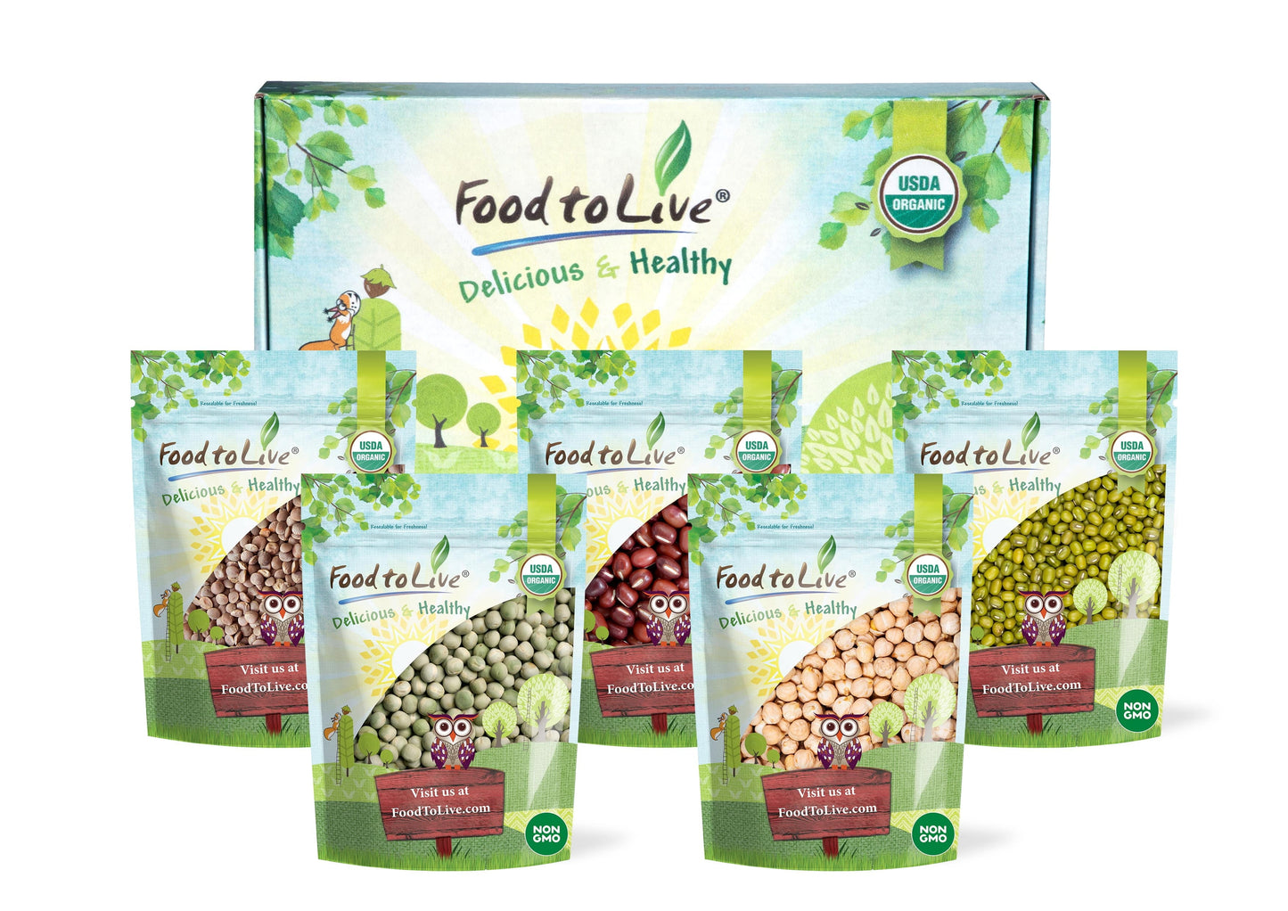 Organic Sprouting Beans, Peas, And Lentils In A Gift Box - Mung Beans, Adzuki Beans, Red Lentils, Chickpeas And Green Peas, Non-